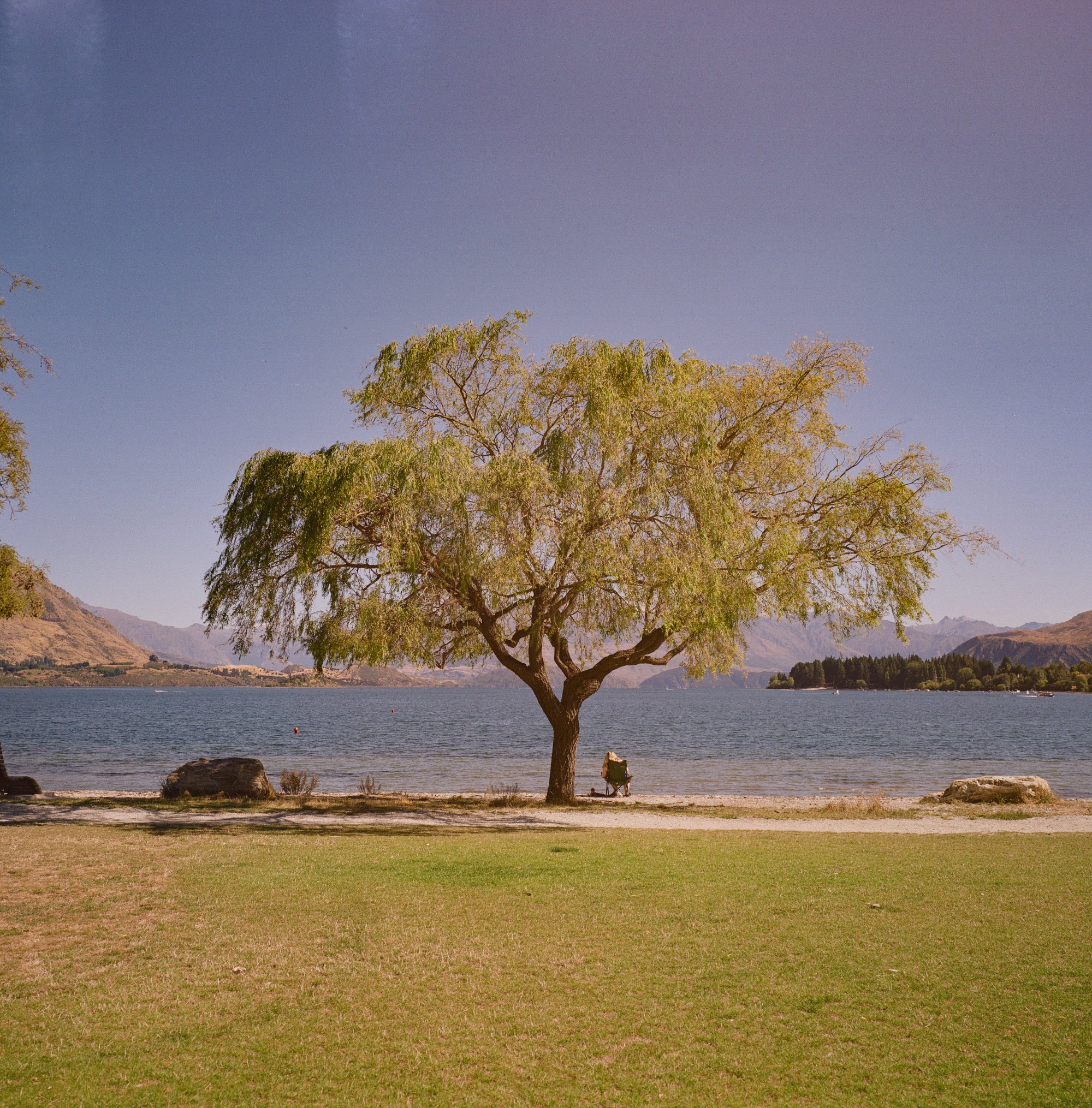 kodak_gold200-12.jpg