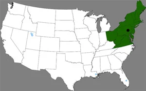 map.jpeg