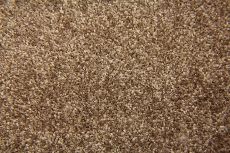 Mocha Joe