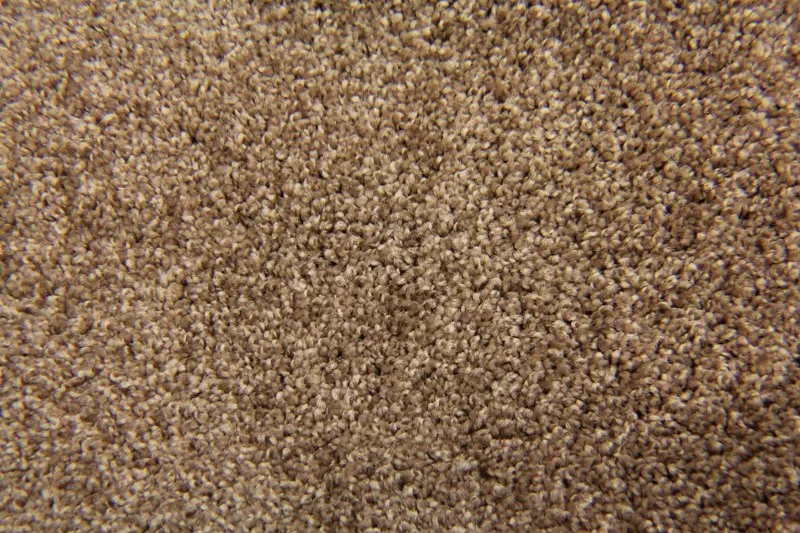 Mocha Joe