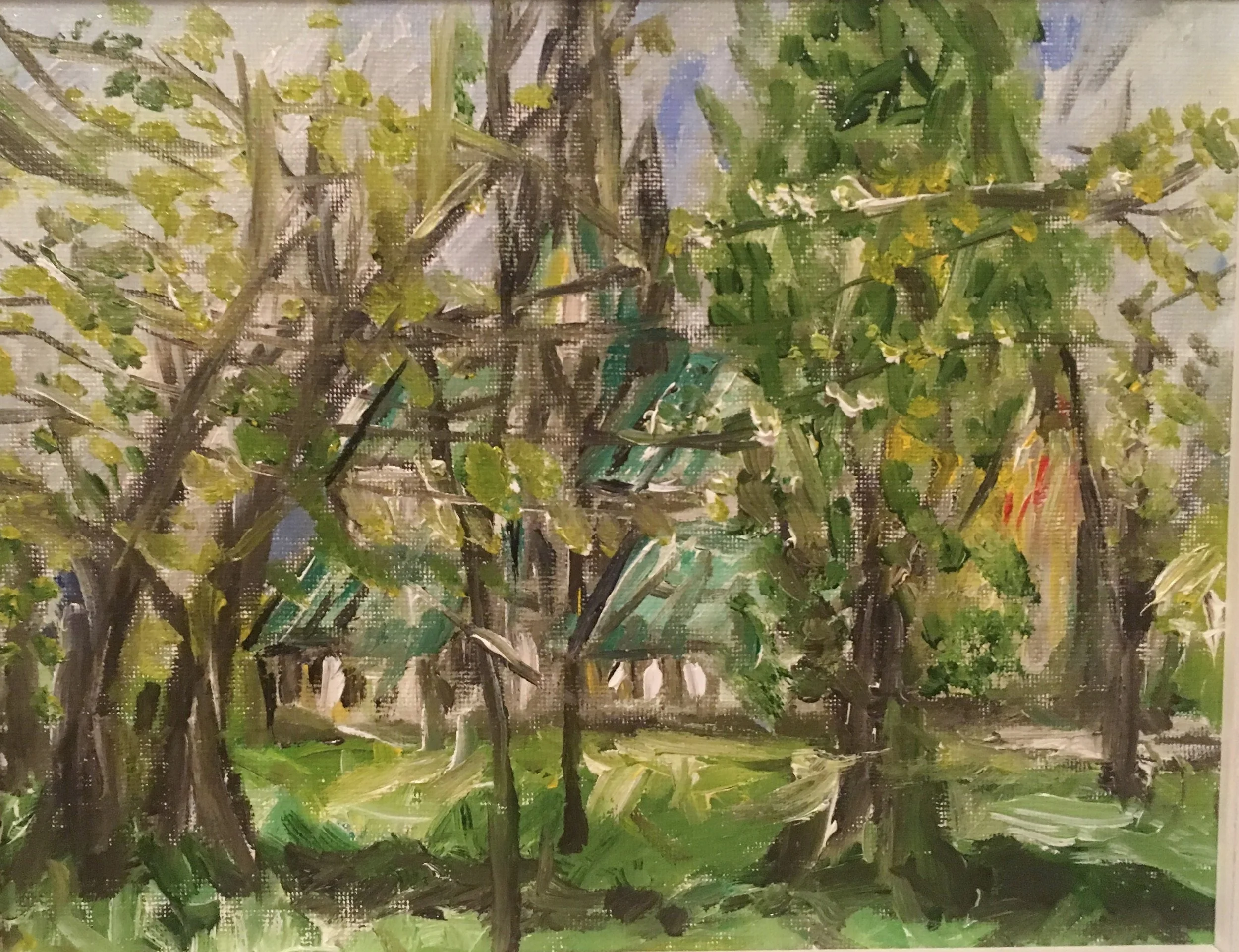 Between sunlight and shade.JPG