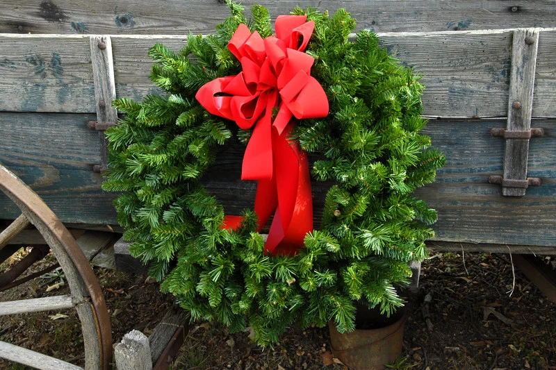 canstockphoto885157.jpg