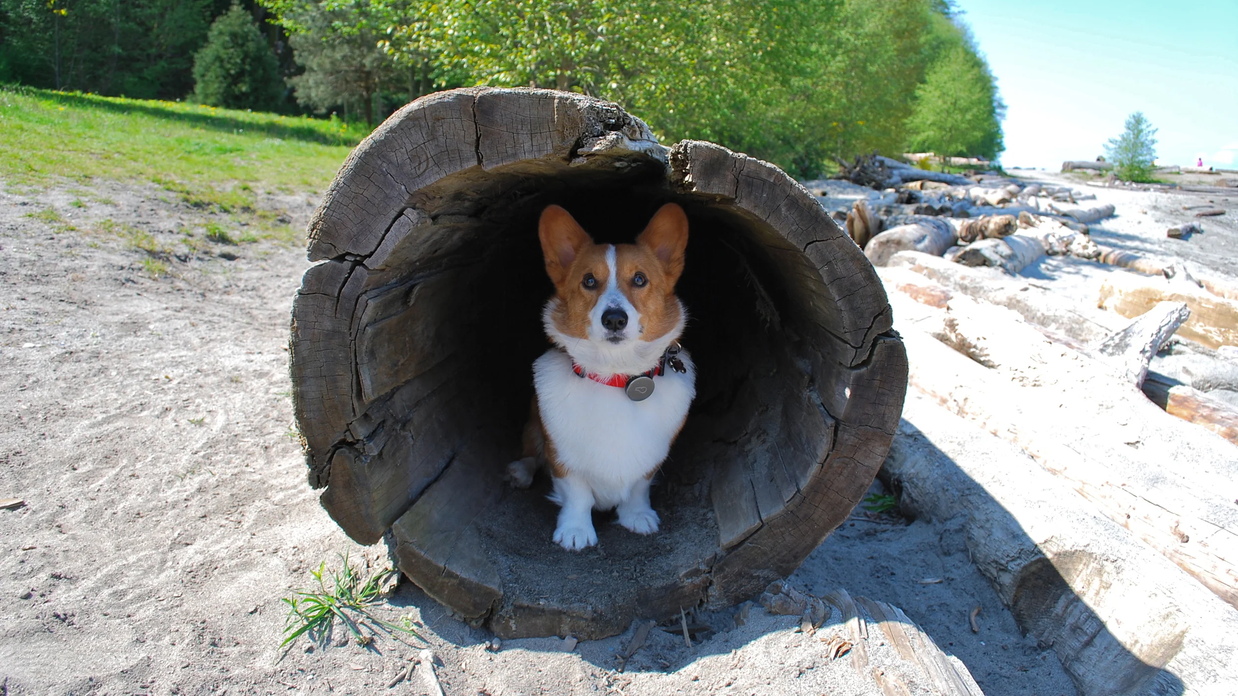 Outdoors-3.jpg