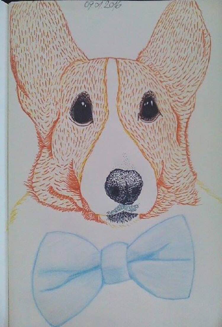 Drawing by Radu from Romania