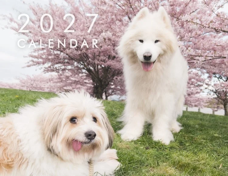 2027 Calendar