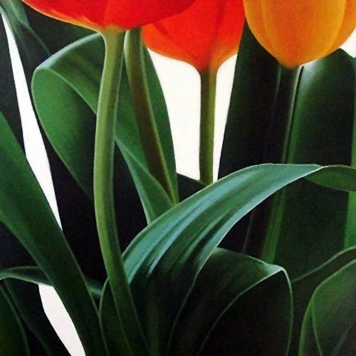 untitled tulips 48x48 sold