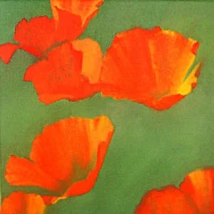  abstract poppies  24x24   sold    