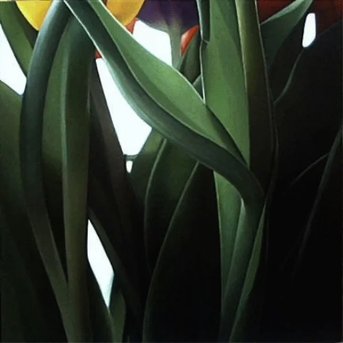 untitled tulip stems 48x48 sold