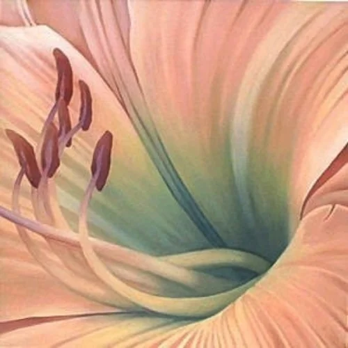 for cynthia 48x48 sold