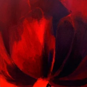 tulip in red abstract 24x24 sold