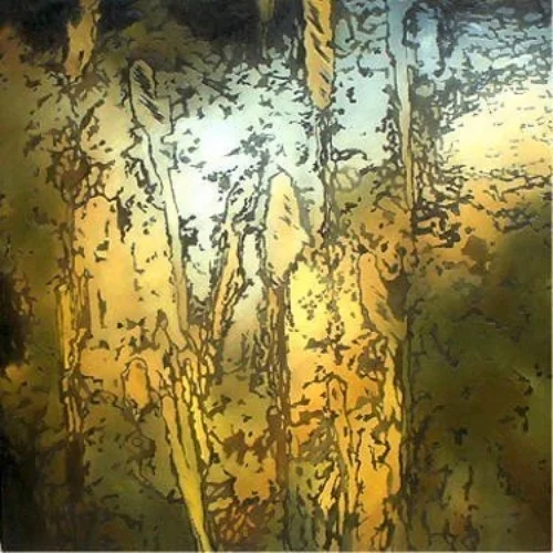 sunlight on tall grass 48x48 sold