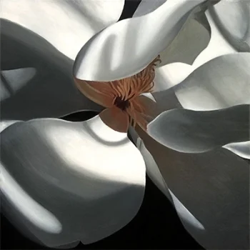    untitled magnolia blossom   30x30 SOLD   
