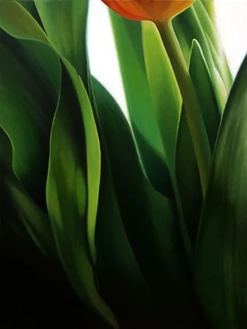 orange tulip 30x40 sold