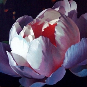 peony 24x24 sold