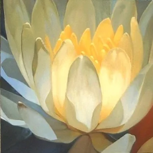 lotus 24x24 sold
