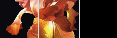 copper iris triptych three x 12x12 sold