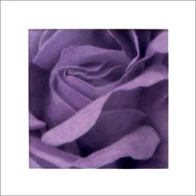 violet 20x20 pastel on paper sold