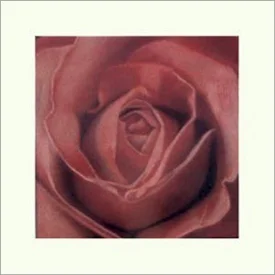 rose 20x20 pastel on paper sold