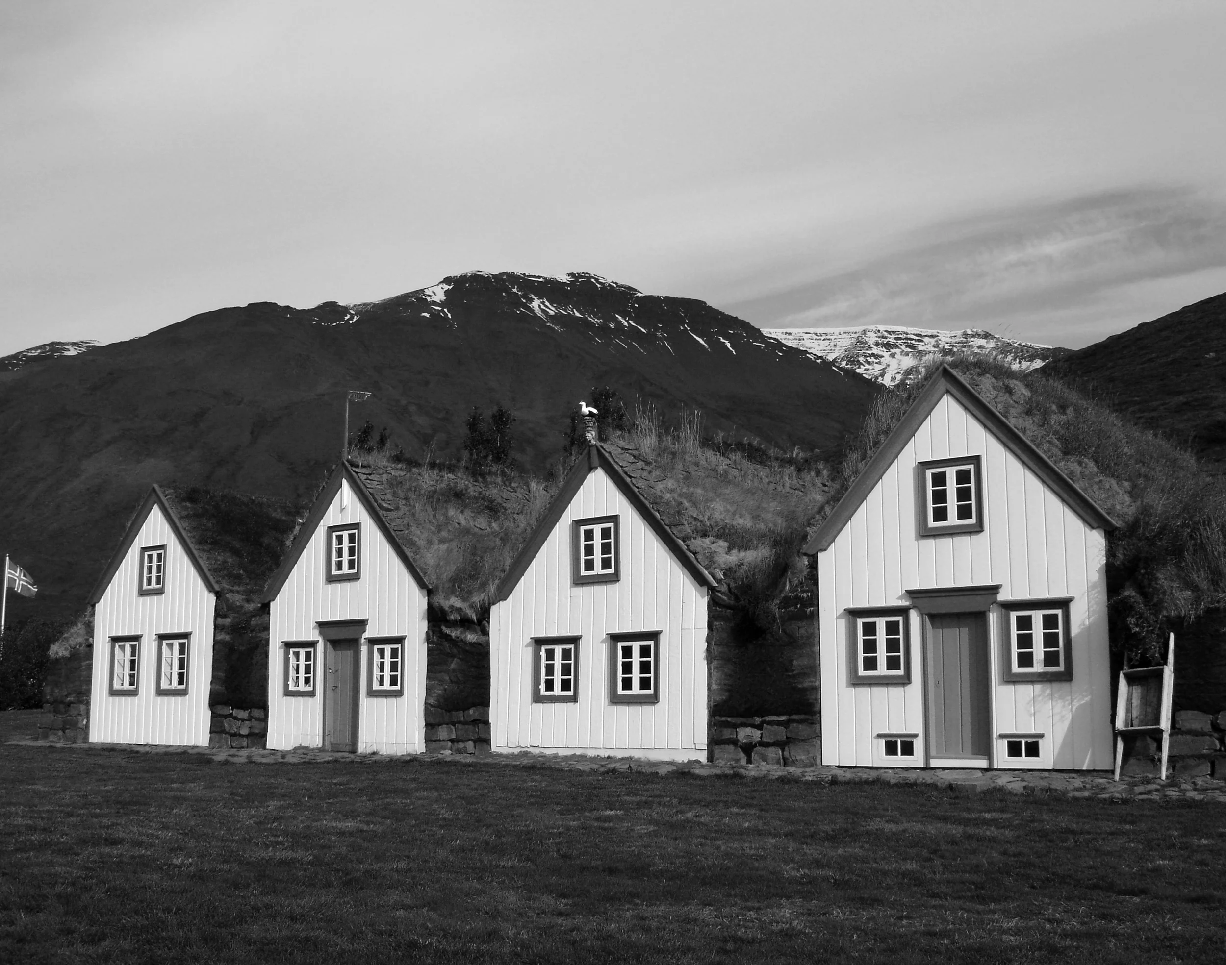 grasshome8x10.jpg