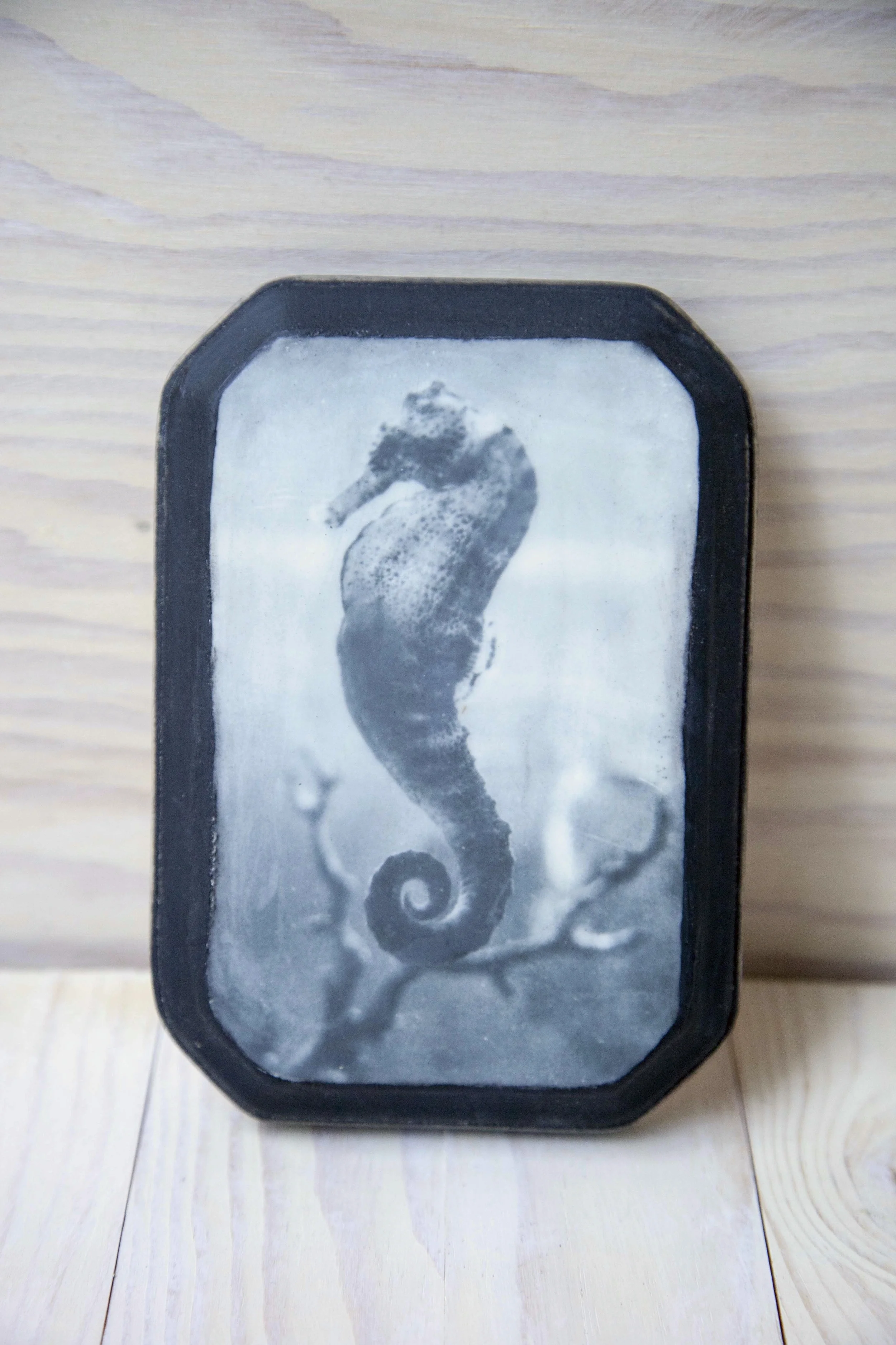 seahorse