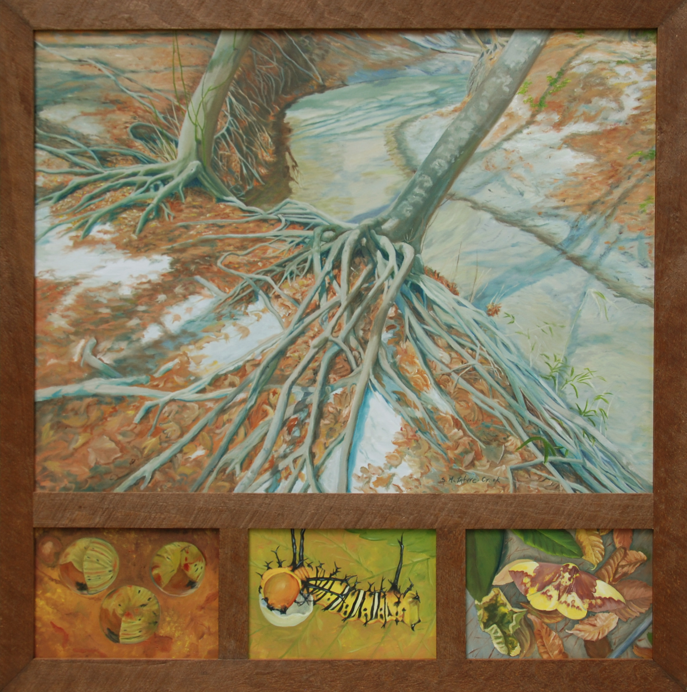 Tenacious Trees III at Loblolly Preserve oil on canvass; 42" x 44"; 2014 $1400 Life cycle in past, present and future: The tree's graceful ropy roots cling to the eroding bank. It's destiny displayed by the angle over Hogtown Creek. Below, the life cycle of an Imperial moth who is well camouflaged among autumn leaves.