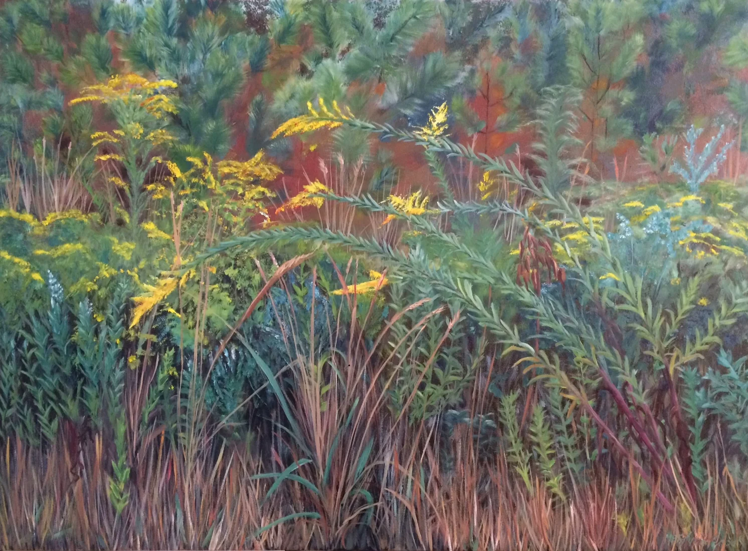 Autumn Scape oil on canvass; 22 x 30 2016 400.00