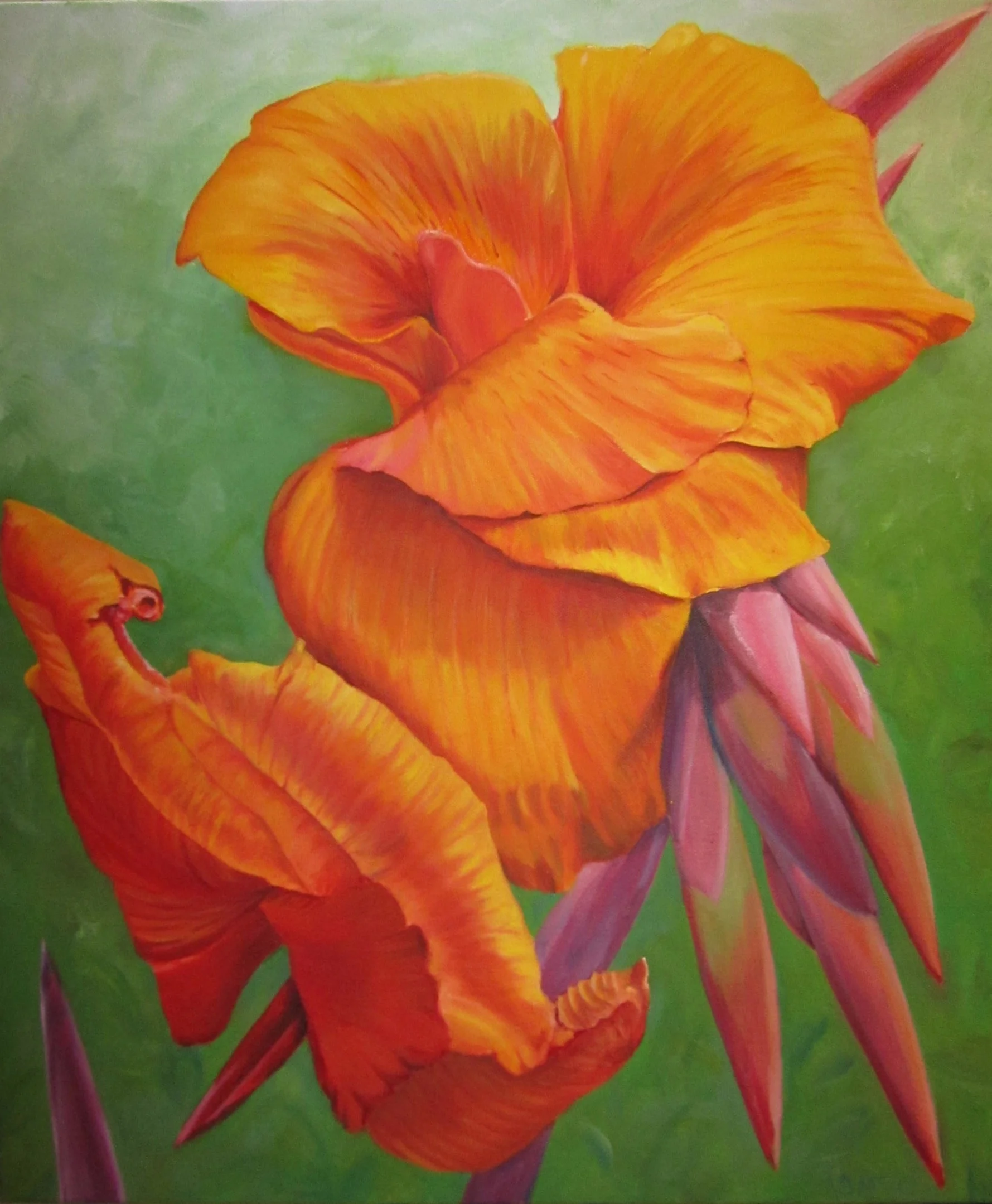 Orange Canna oil on canvass; 30" x 24"; 2016 $300.00