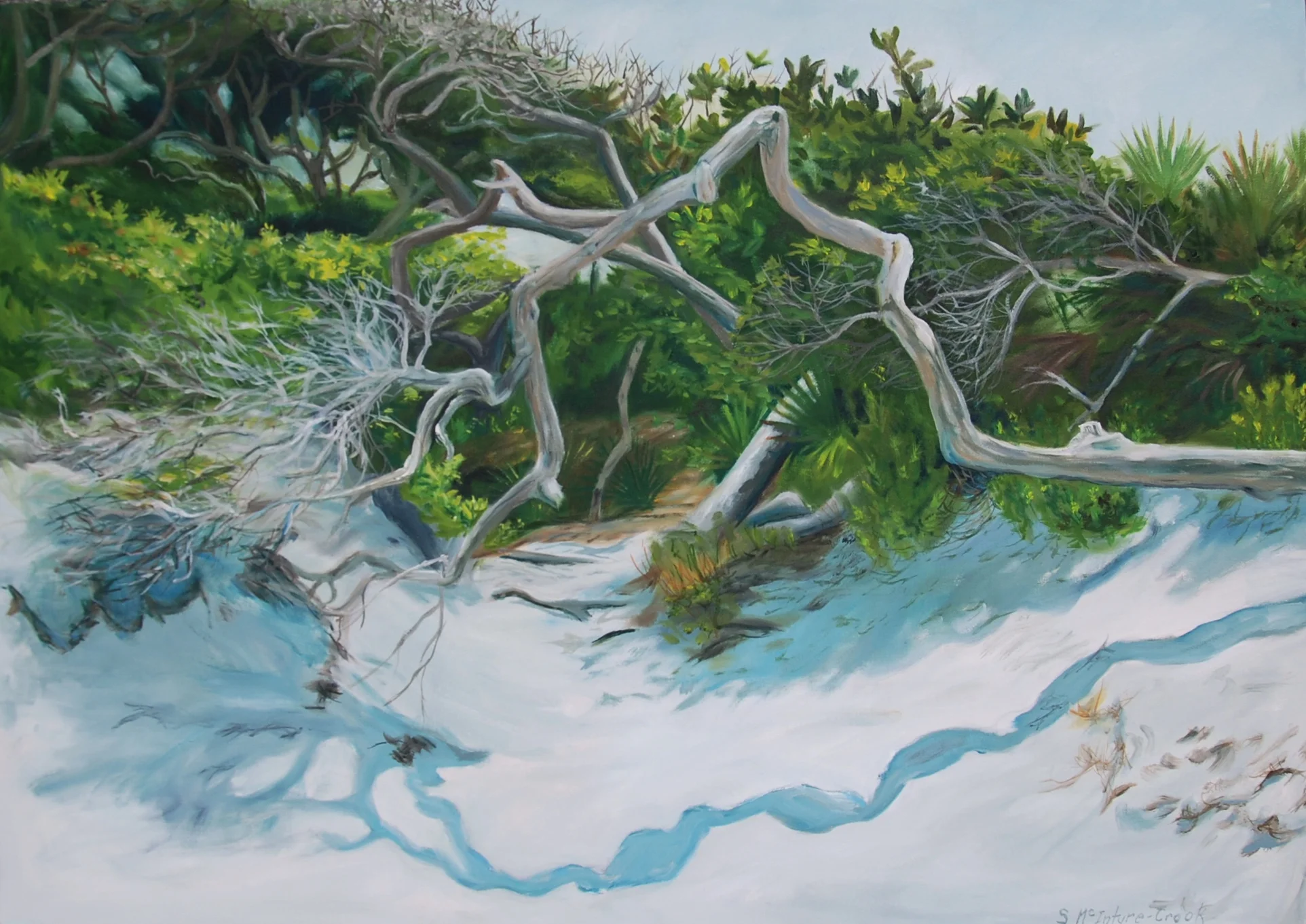 Grayton Beach; arch over path oil on canvass; 20" x 28"; 2015 $350.00