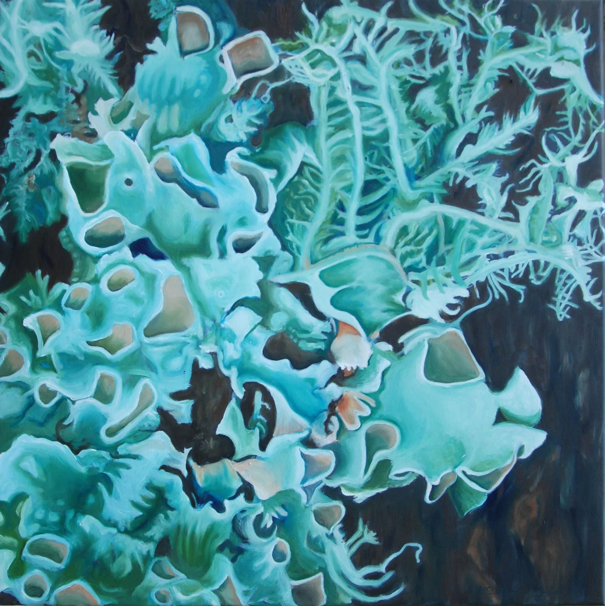 Blue Green Lichen oil on canvass; 24" x 24"; 2015 $275.00