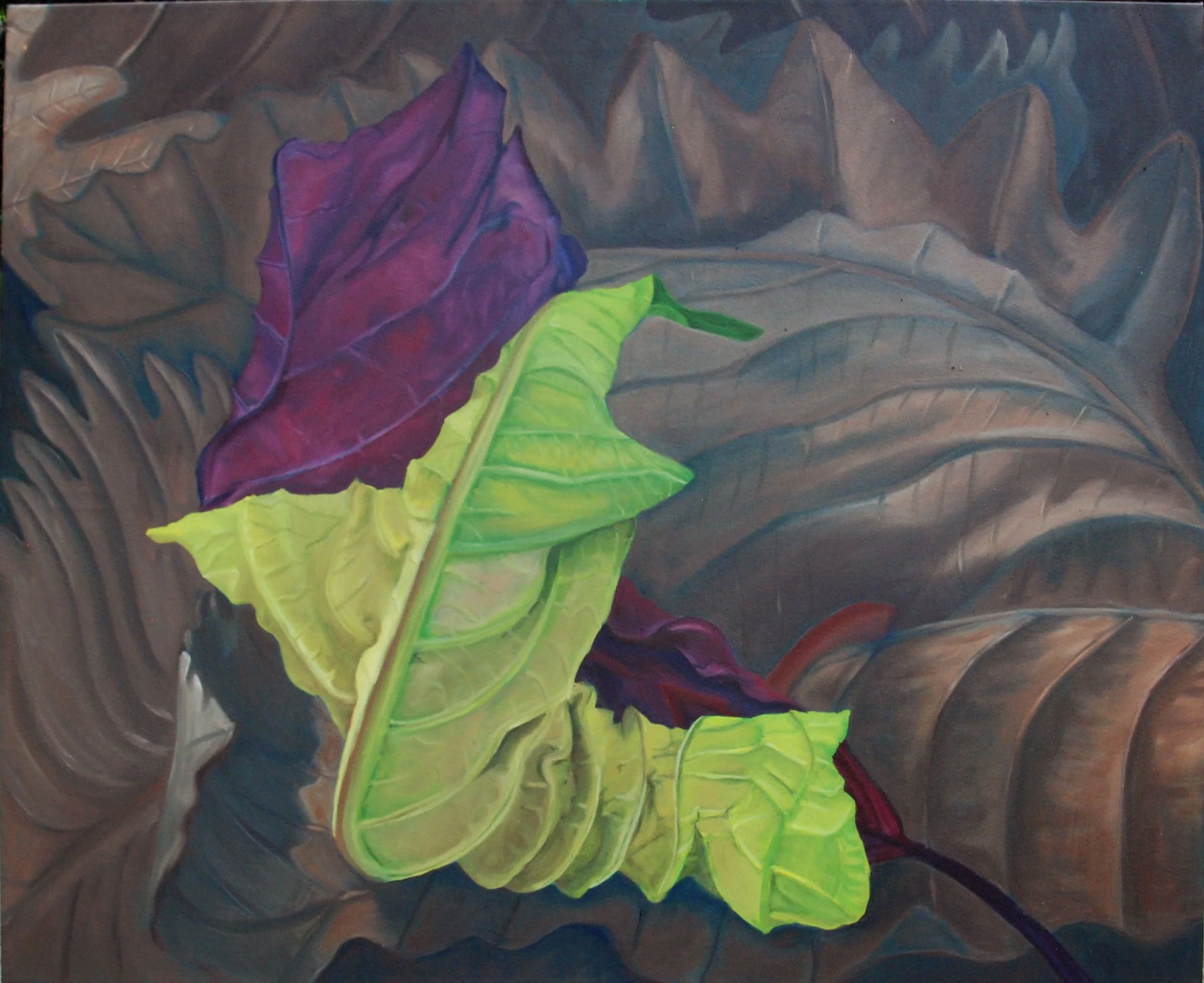 Poinsettia's Embrace I oil on canvass; 29 x 36; 2015 $600.00 Drying, shriveling green leaf and red bract curl upon each other in an embrace on a bed of dried oak leaves.