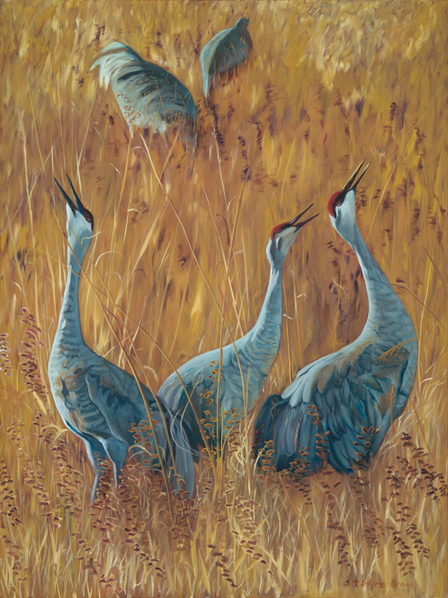 Print: Sandhill Cranes Calling limited edition of 50; 24" x 18"; Ultrachrome HDR ink; from original oil on canvass 'Sandhill Cranes Calling'; 48" x 36" $150.00