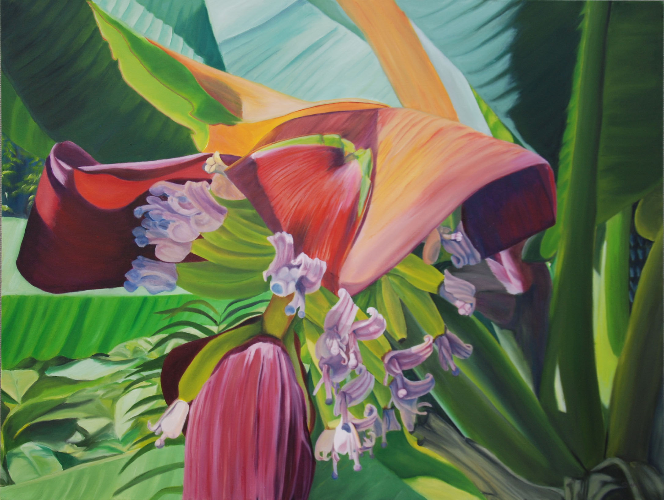How Light Hits a Banana Blossom oil on canvas; 30 x 40" 2016 sold