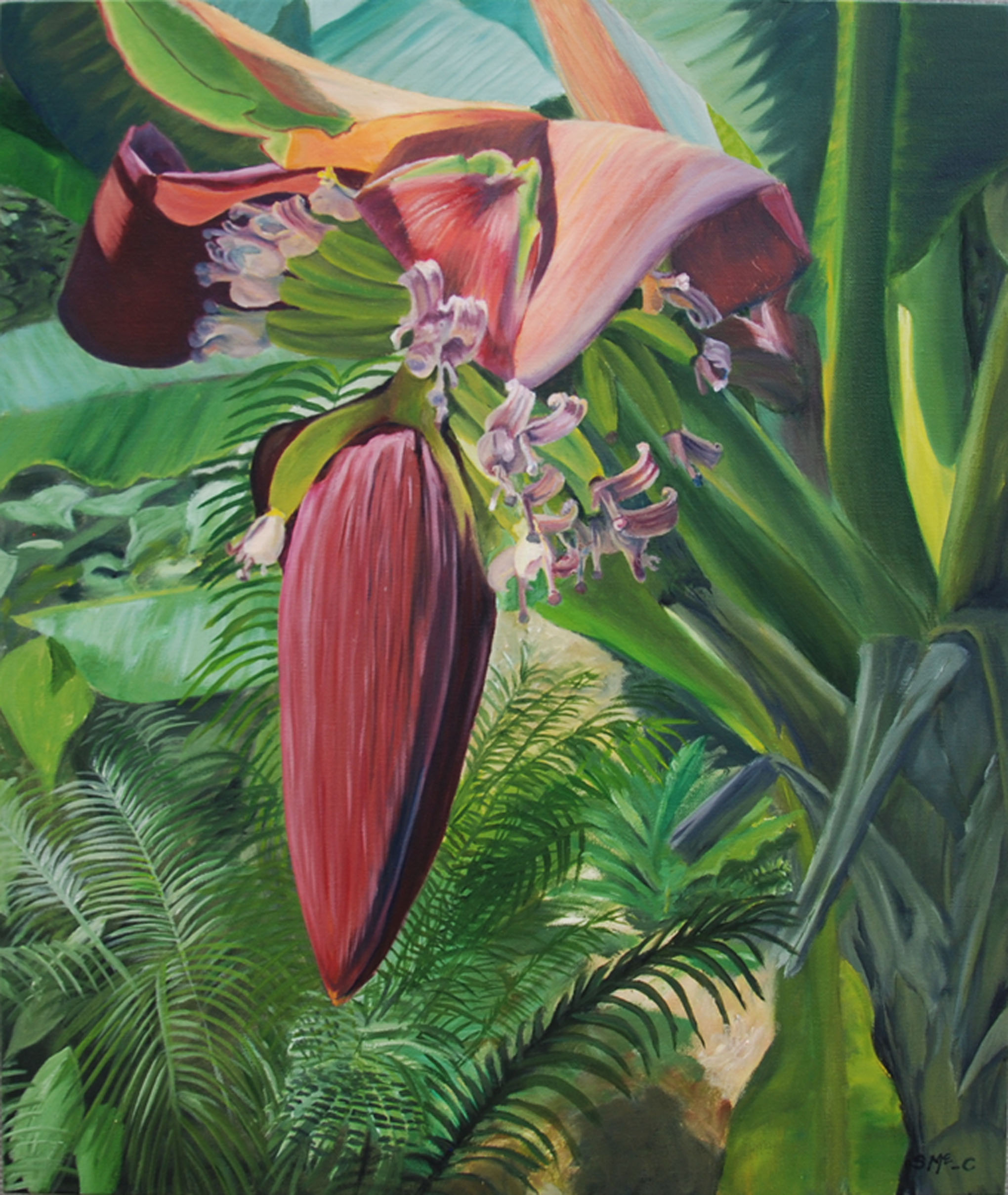 Banana Blossom oil on canvas; 24 x 20"; 2016 sold