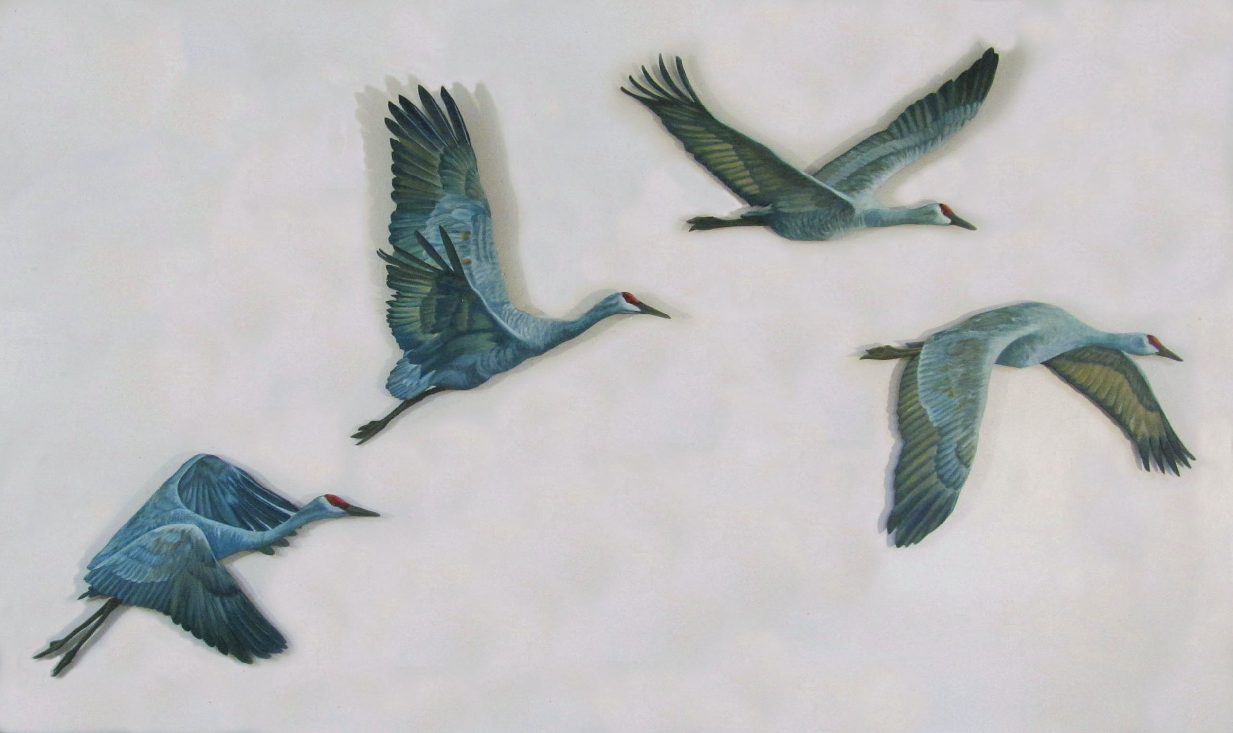Sandhill Cut-outs #5,6,7 and 8; oil on 1/4" plywood; 2016 $360.00 each