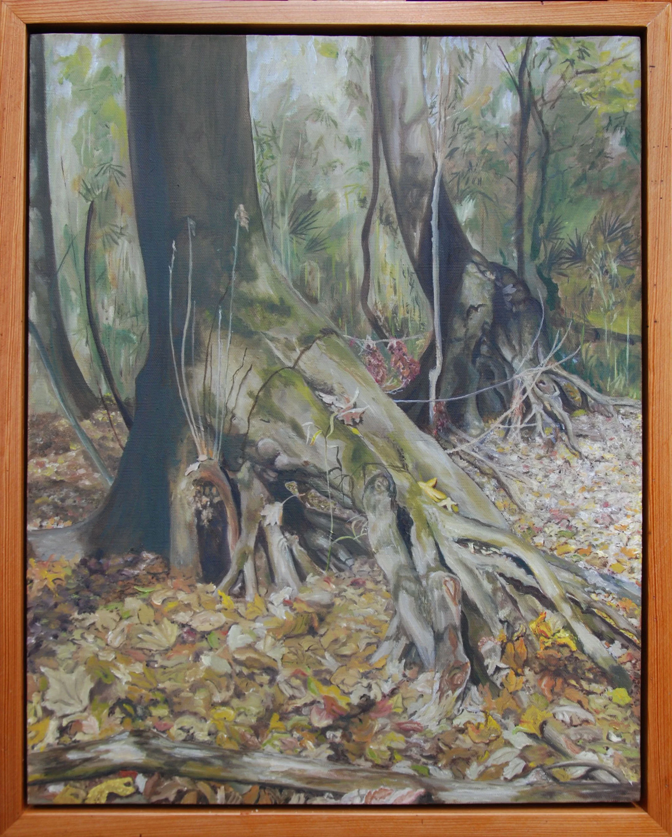 An Autumn Walk Through San Felasco Hammock #2 of 6; Tree Roots/ Walking Trees oil on canvas, 22 x 18"; 2010; artist's collection