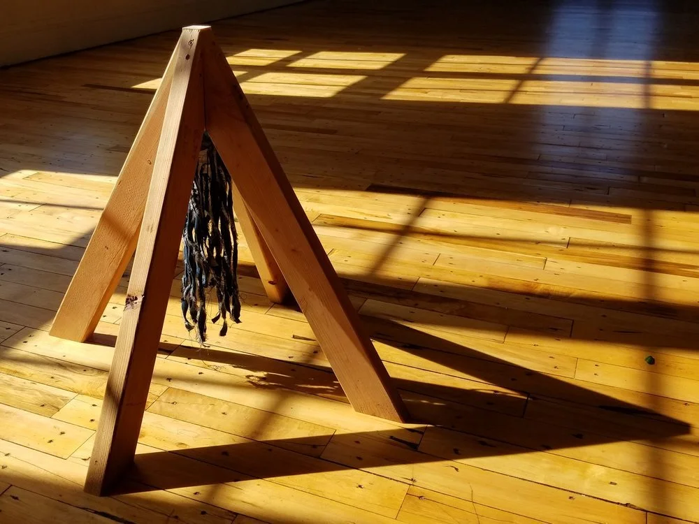 Terra Incognita at 701 Center for Contemporary Art