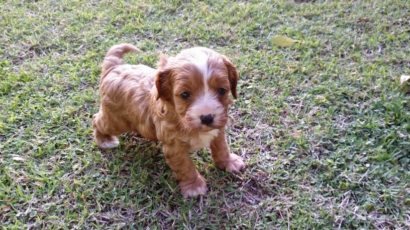 Mr Ralph will bring many smiles to this household.