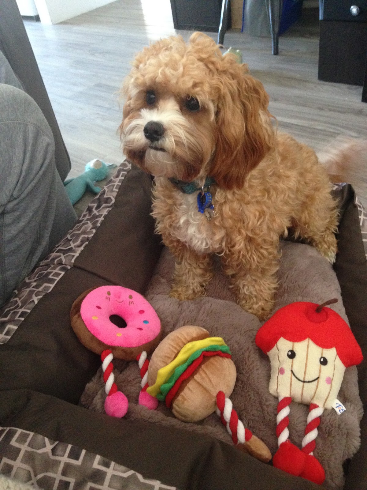 Ralph's birthday loot.