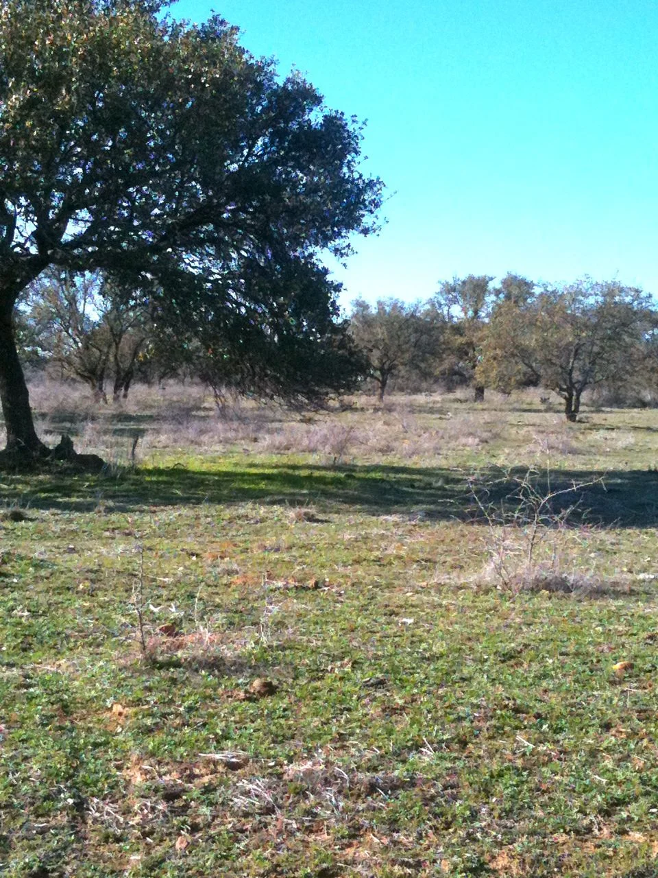 TRACT #5 4.13 ACRES $57,900 EXISTING 21 GPM WELL