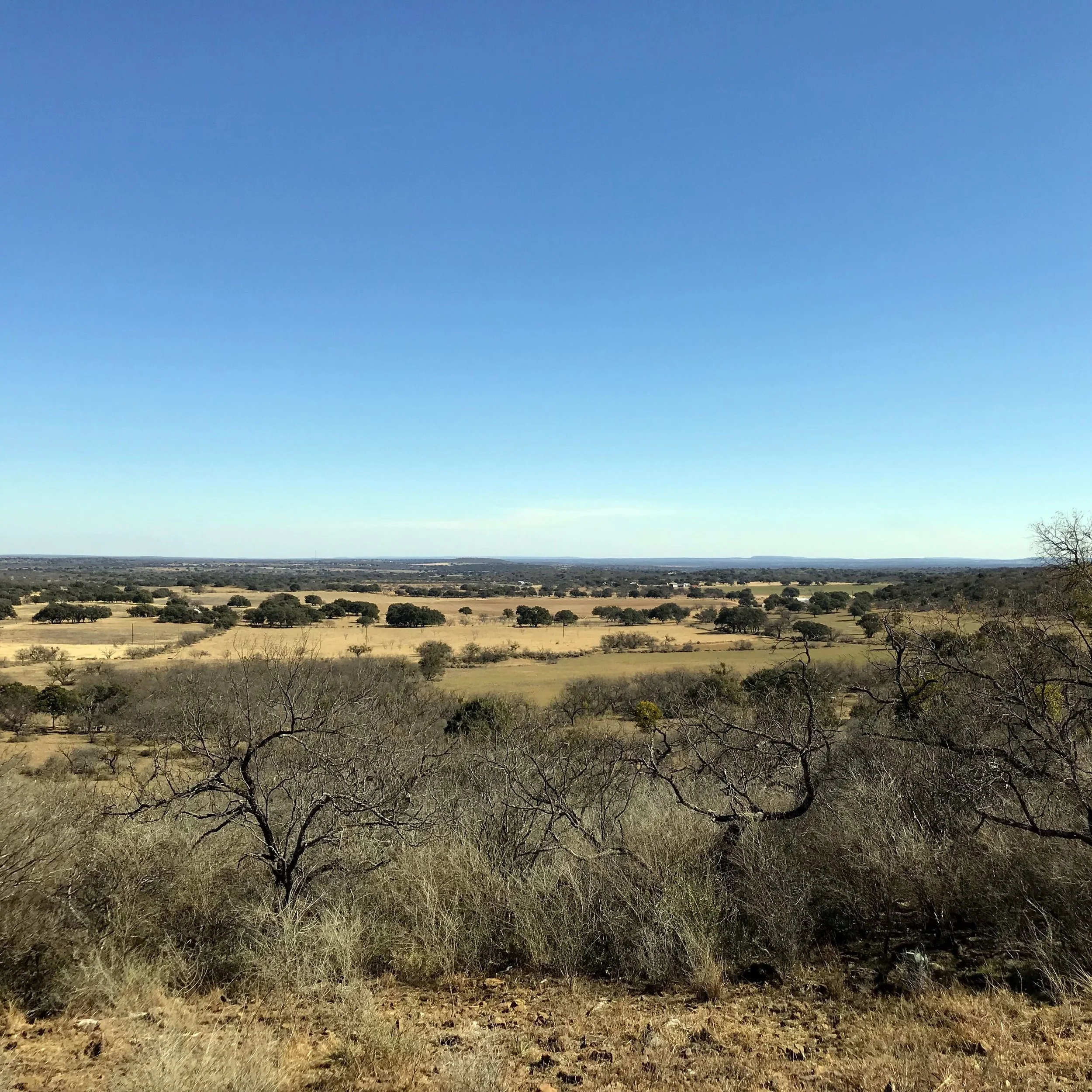 TRACT E 4.81 ACRES $99,795 SLOPING WITH MASSIVE VIEWS!