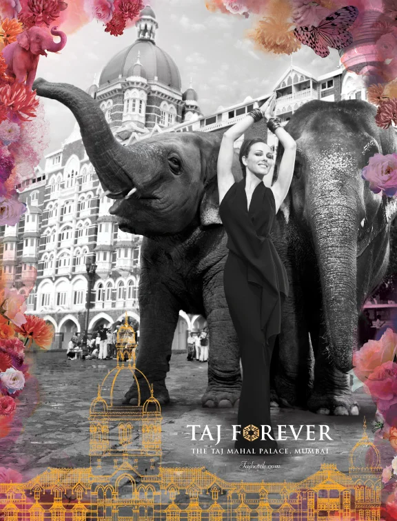 Taj_9.jpg