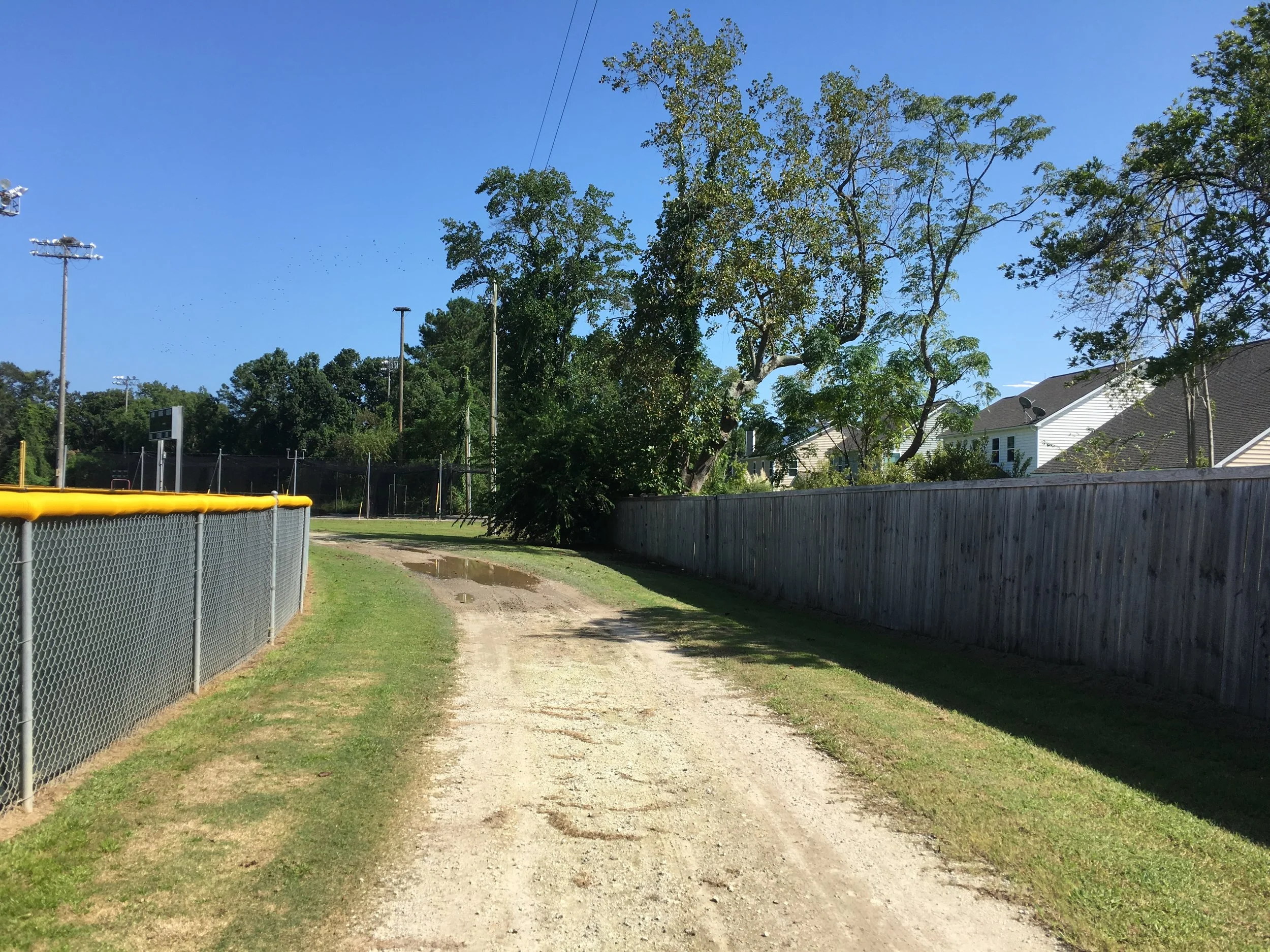 A Good Photographer can Work Magic