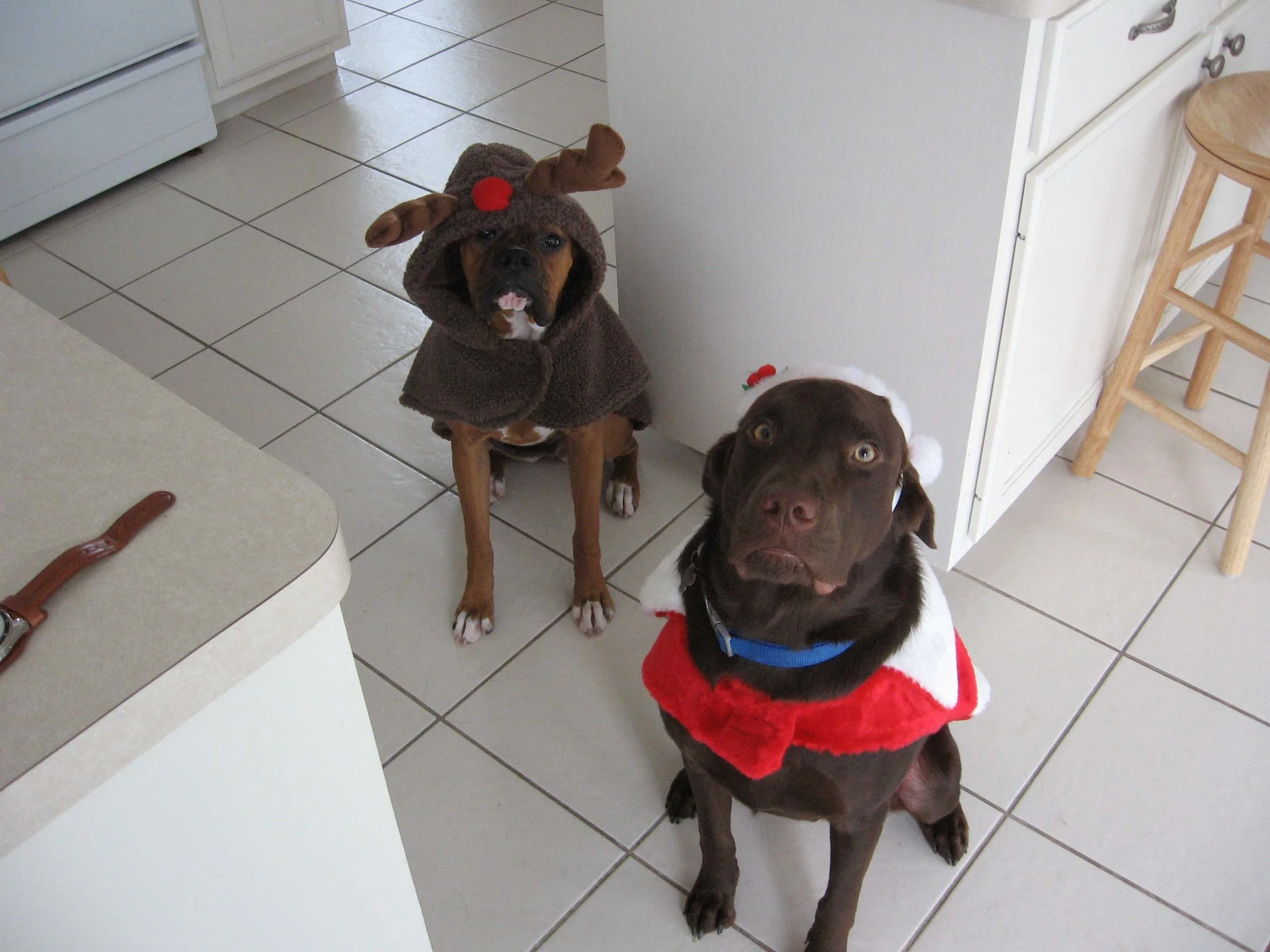 xmas4.jpg