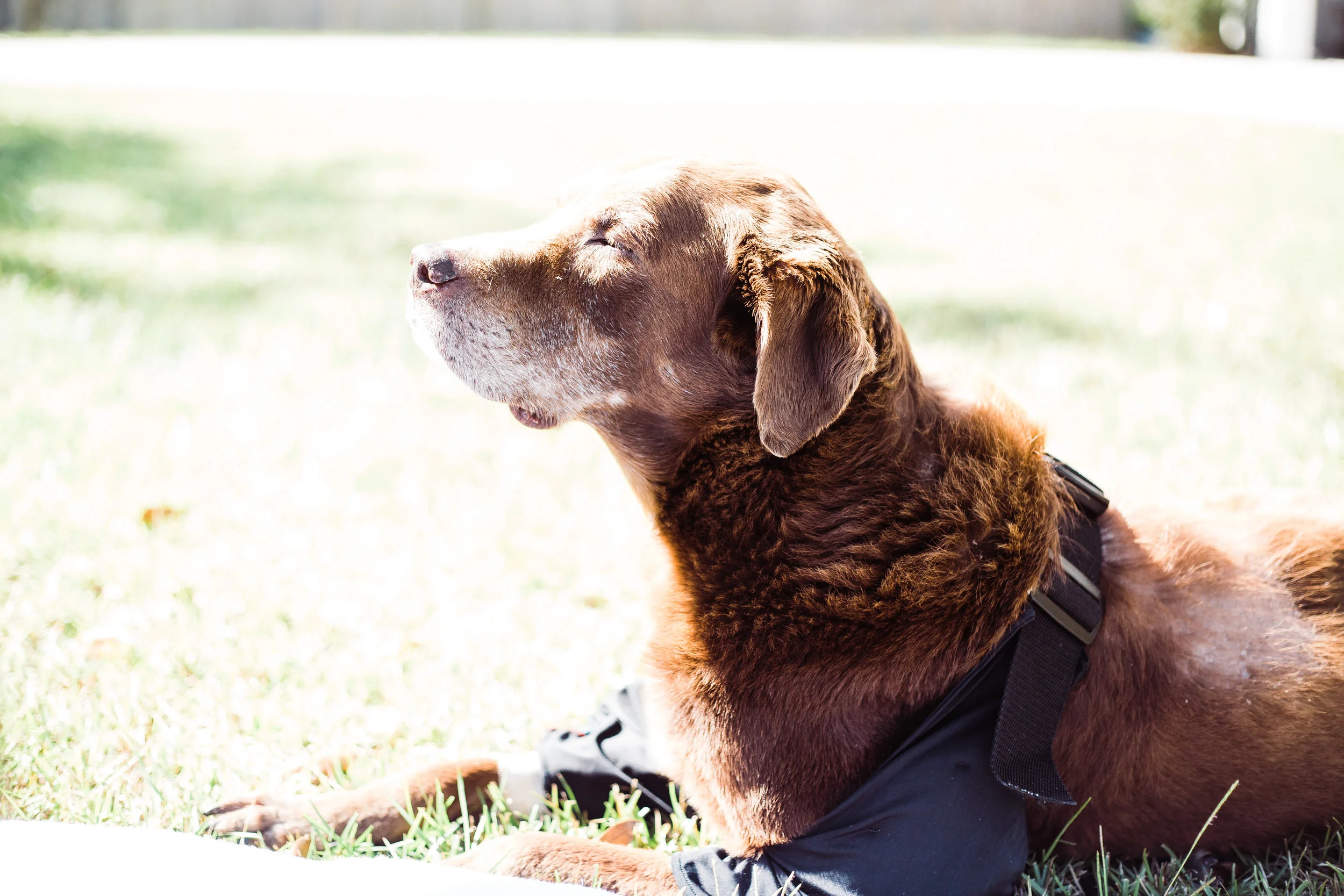 Cooper