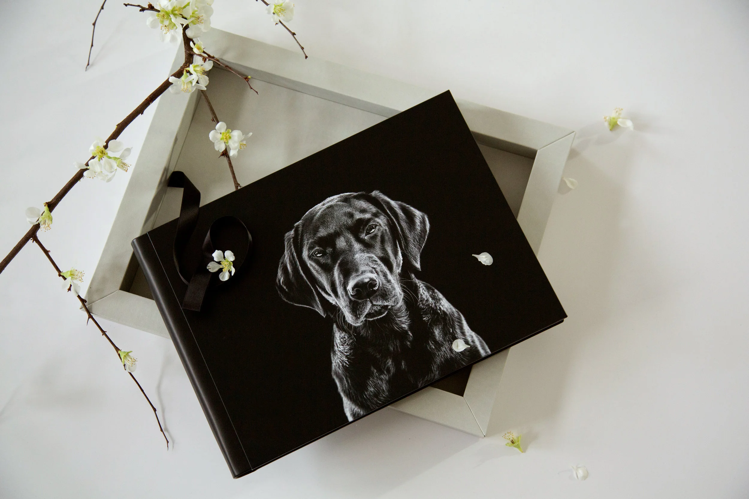 What is a Reveal Party?