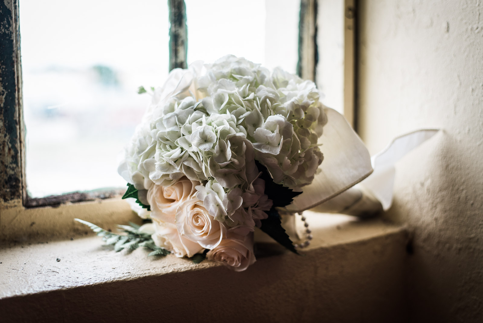 LLPhoto-7.jpg