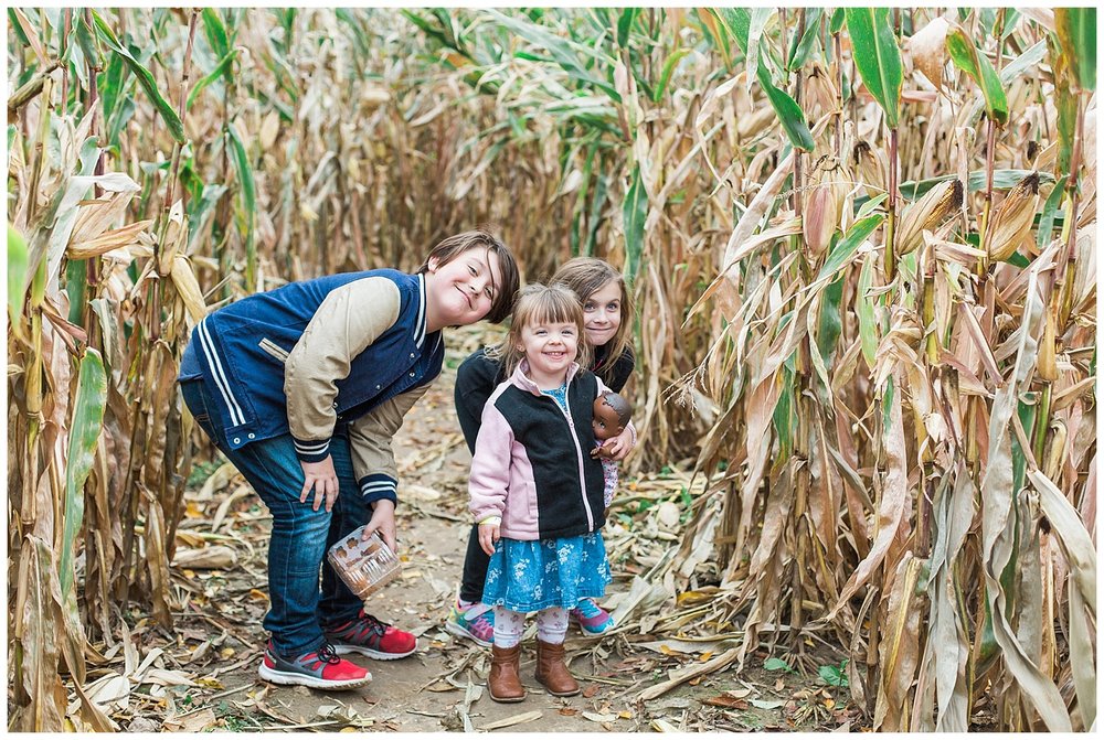 opal turns three stokoe farms-37_Buffalo wedding photography.jpg