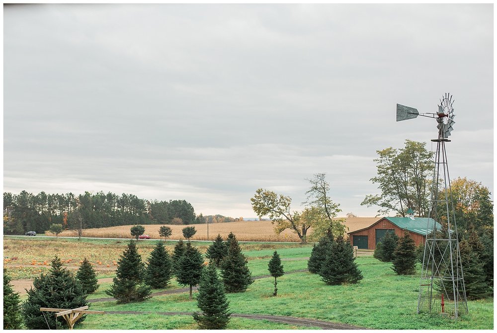 opal turns three stokoe farms-56_Buffalo wedding photography.jpg