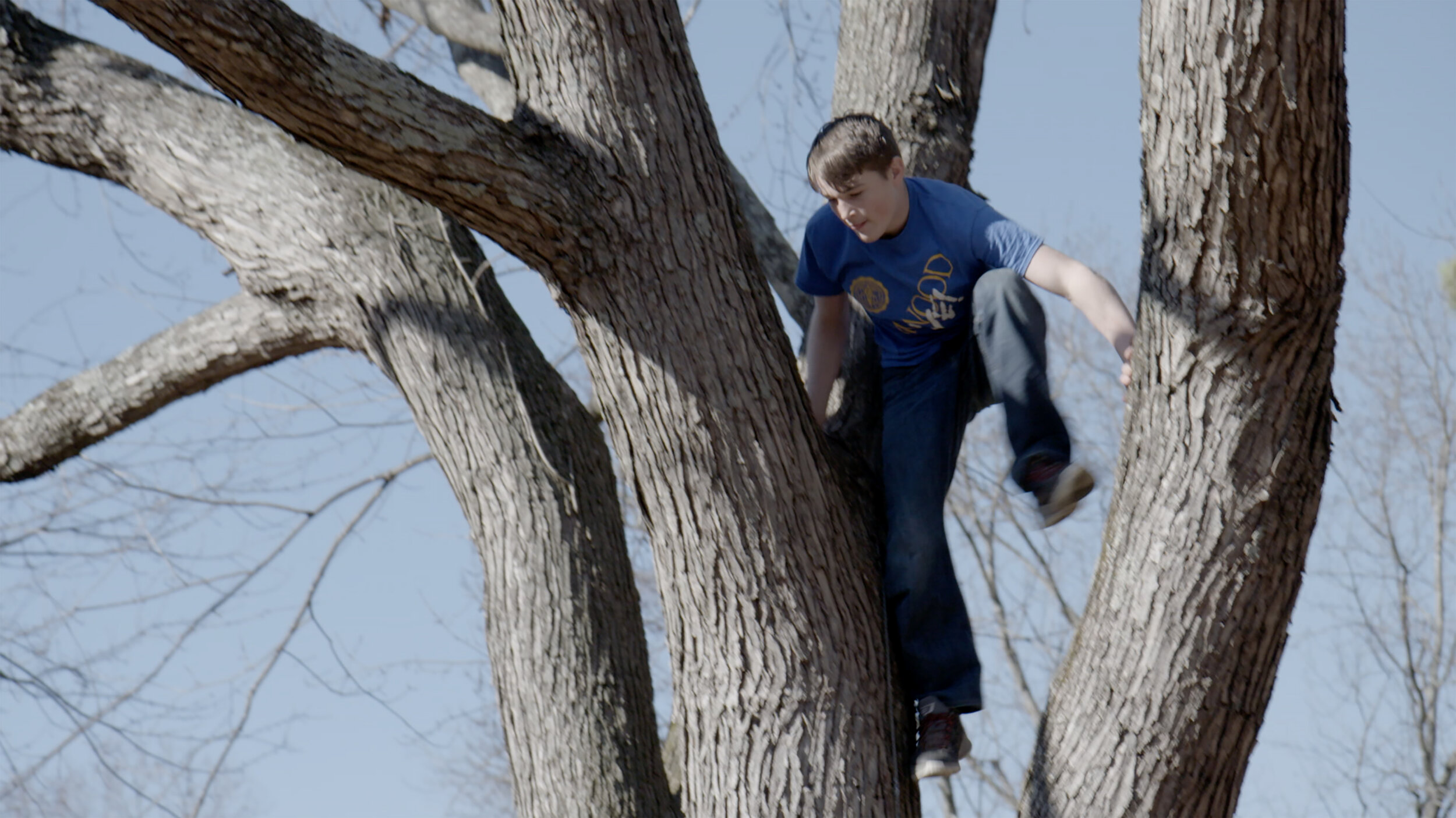 16_WRESTLE_Teague Berres climbing a tree in his backyard.jpg