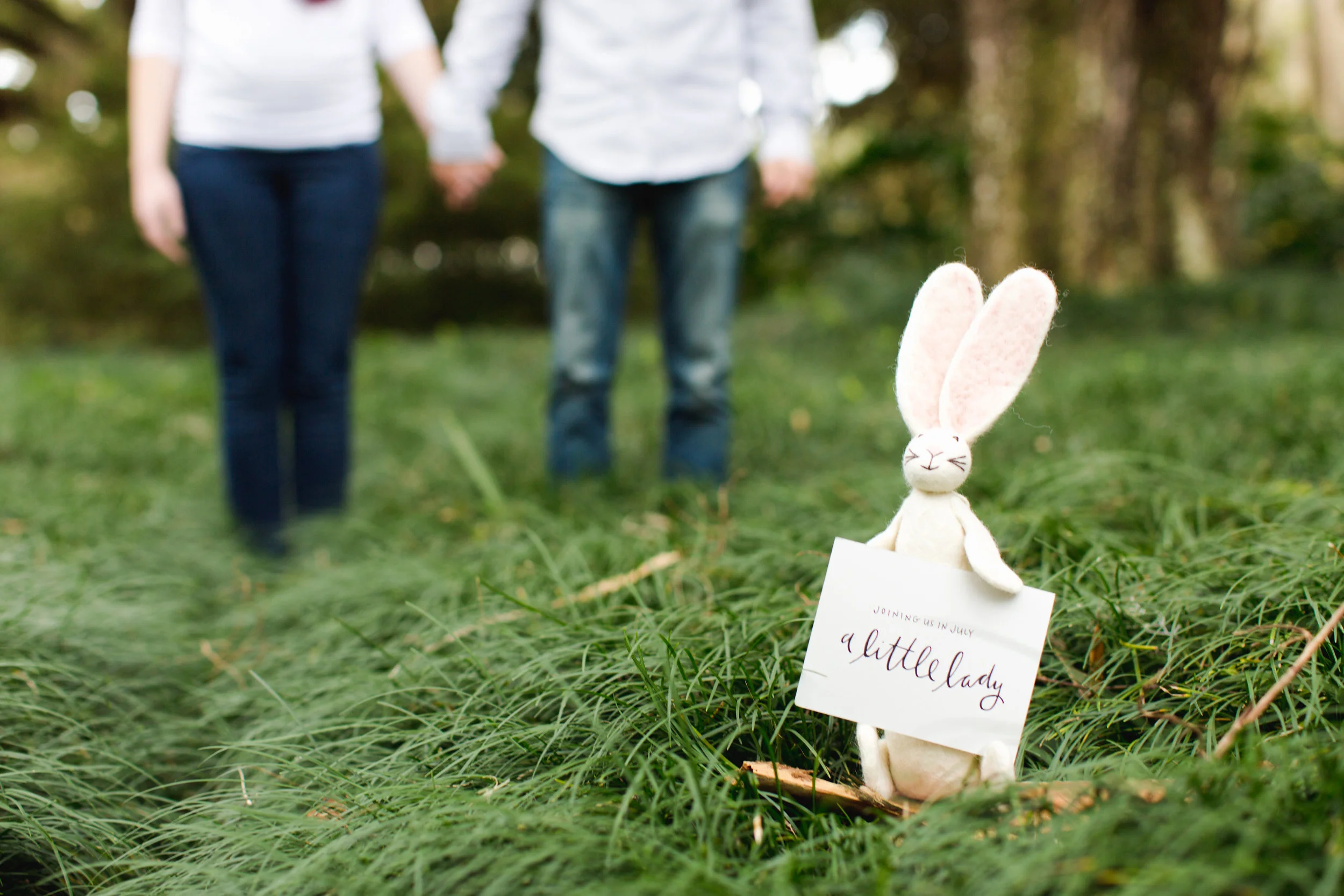 Gender Reveal Announcement Photo - Little Girl Bunny